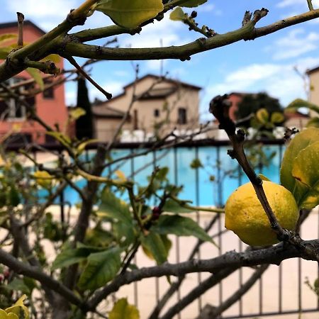 Appartement Dolce Farniente Belgodère Zewnętrze zdjęcie