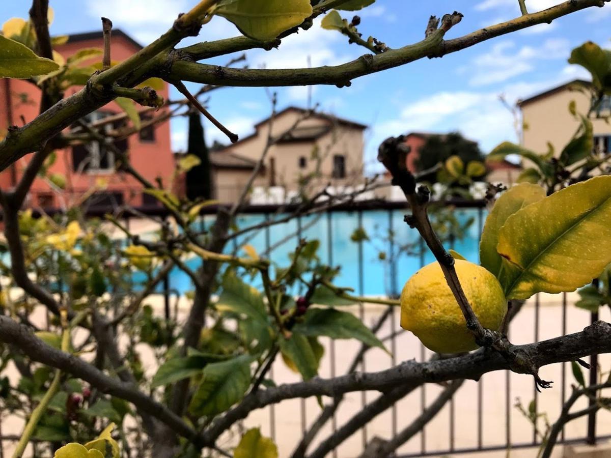 Appartement Dolce Farniente Belgodère Zewnętrze zdjęcie