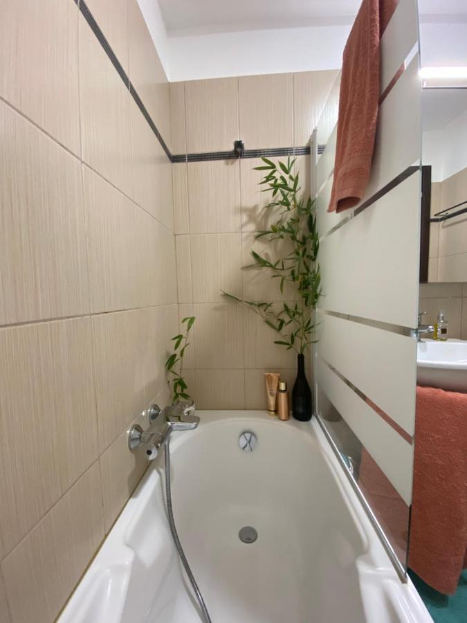 Appartement Dolce Farniente Belgodère Zewnętrze zdjęcie